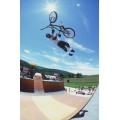 BMX BIKE
