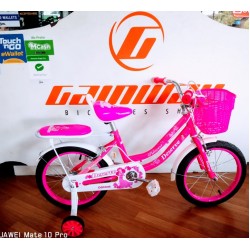 16 Inch BMX S Bike for Girl ages for 4 and above  BDS1608SR