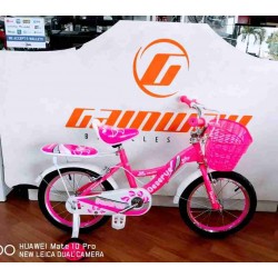 16 Inch BMX BIKE for Girl ages of 4 -6 BDS1609SR