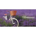 CRUISER CITY BIKE