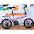 16 Inch Folding Shimano 6 Speed Disc Gear Bike BGW16415FB