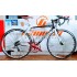 Custom Wilier  Triestina Carbon 10 Speed Size 52 Carbon Road Bike BWL52